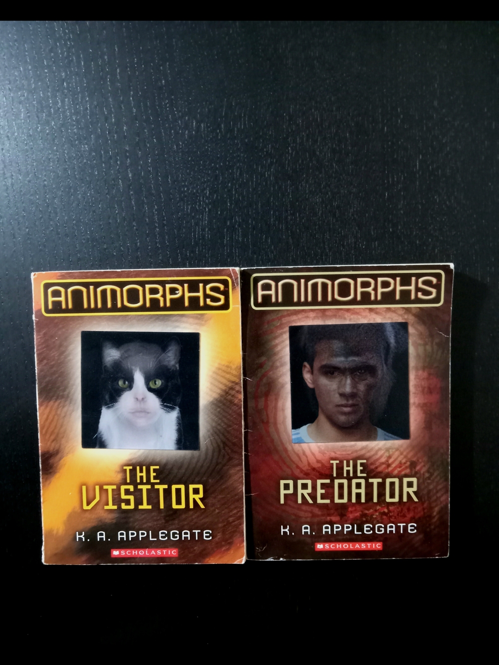 2000's Animorphs Book Lot